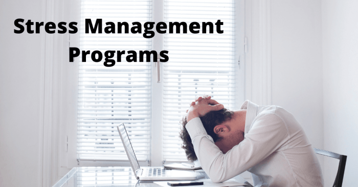 Stress management programs for employees
