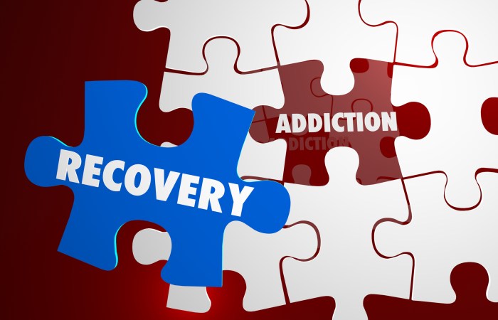 Therapy for addiction recovery